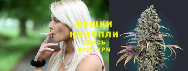 ГАЛЛЮЦИНОГЕННЫЕ ГРИБЫ Осташков