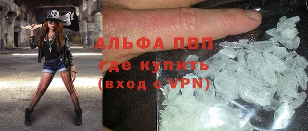 ГАЛЛЮЦИНОГЕННЫЕ ГРИБЫ Осташков